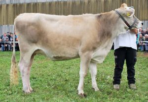 151009ViehschauSarnen 120